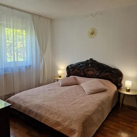 公寓 Ferienwohnung Anna 厄林根